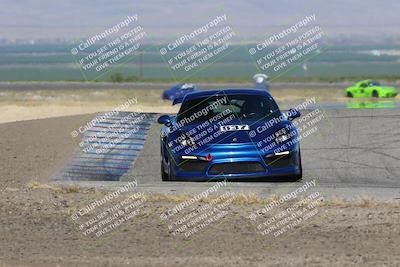 media/May-03-2024-PCA Central Coast (Fri) [[eaa7da0ee1]]/Red Group/Session 1 (Grapevine)/